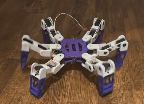 Hexapod Robot